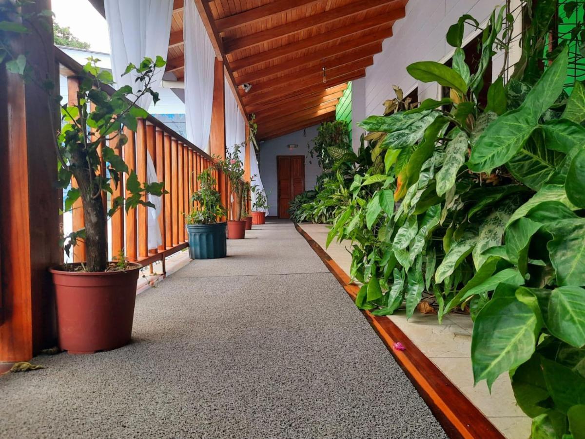 Bellavista Suites By Villas Verdes - Samara Beach Dış mekan fotoğraf