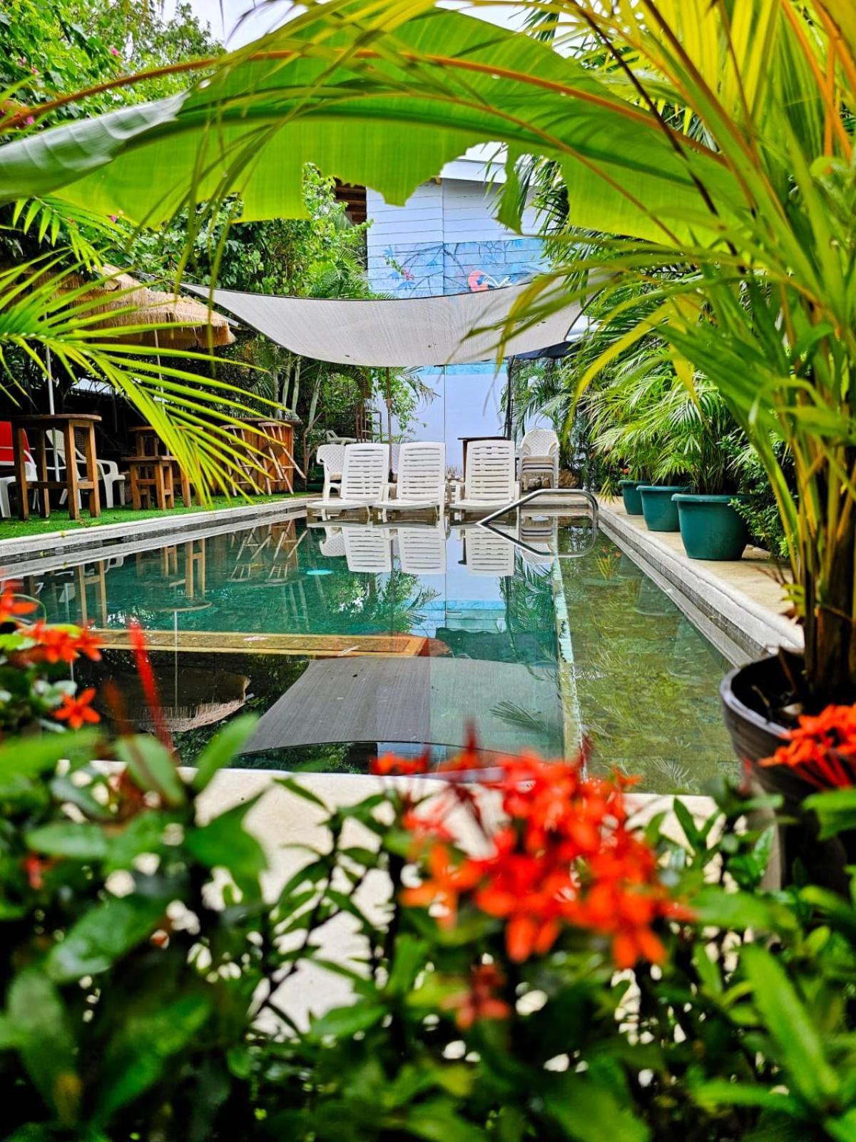 Bellavista Suites By Villas Verdes - Samara Beach Dış mekan fotoğraf
