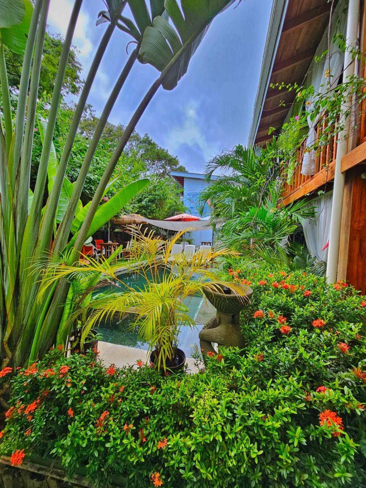 Bellavista Suites By Villas Verdes - Samara Beach Dış mekan fotoğraf